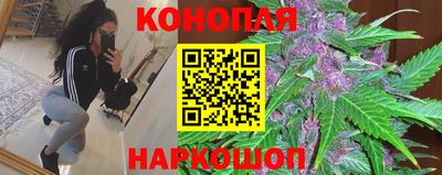 прущие грибы Коммунар