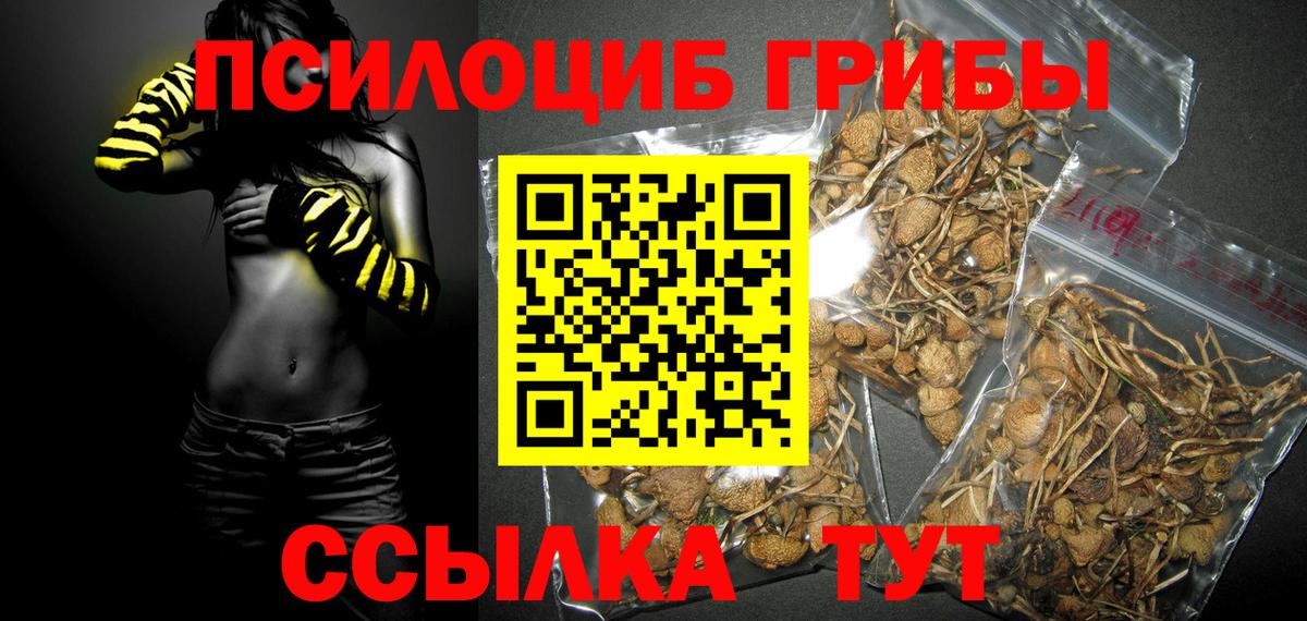 Псилоцибиновые грибы Magic Shrooms  Вход с VPN  наркошоп  Лениногорск  Псилоцибиновые грибы MAGIC MUSHROOMS 